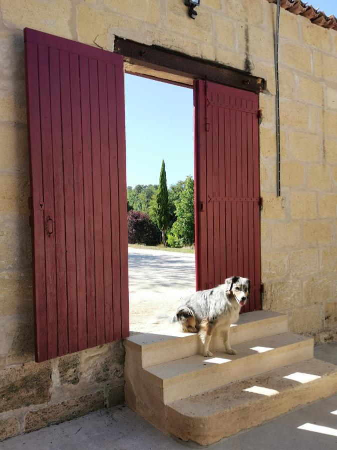 Gite De Charme Au Coeur De L'Entre-Deux-Mers Haux  Exteriér fotografie